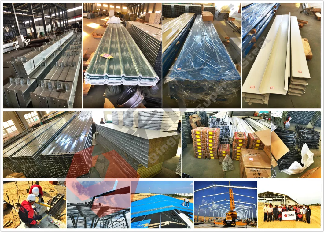 The Middle East Steel Structure Broiler Poultry House Poultry Farms