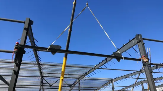 低コストの金属の格納庫の建物のプレハブの鉄骨構造の鶏の家禽小屋