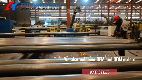 プレハブ軽量鉄骨構造養鶏場鶏舎 (KXD)